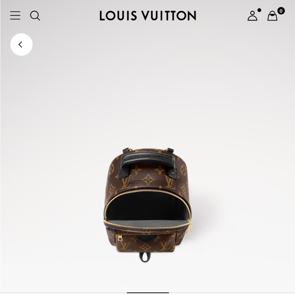 Louis Vuitton M44873 Palm Springs Mini - Picture 5 of 13